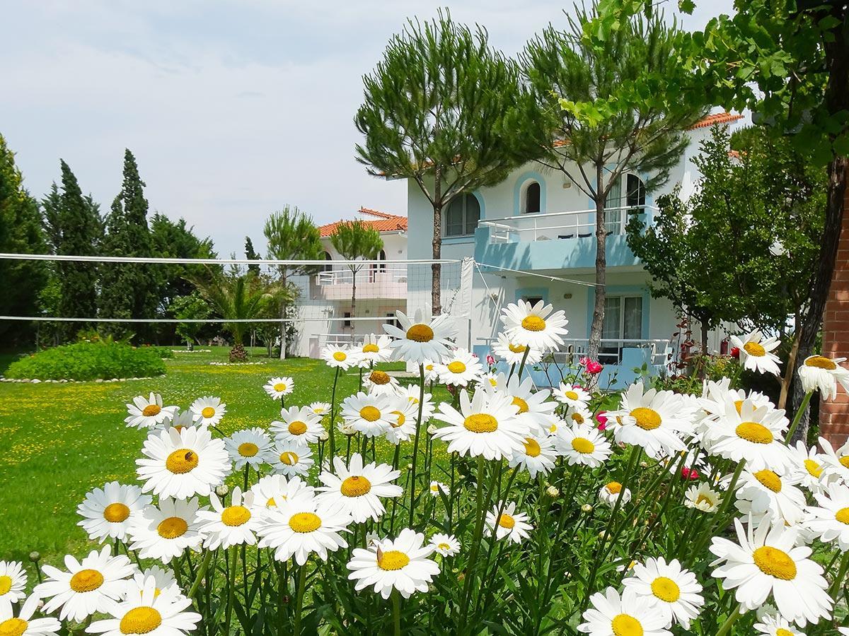 Chroma Studios Oreoi Dış mekan fotoğraf